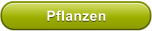 Pflanzen