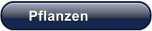 Pflanzen